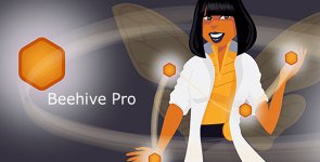 1580551577_beehive-pro.jpg 1580551577_beehive-pro.jpg