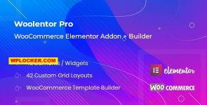 WooLentor Pro v2.2.8.jpg WooLentor Pro v2.2.8.jpg