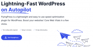 Screenshot 2023-11-03 at 12-02-39 FlyingPress – Lightning-Fast WordPress on Autopilot.png