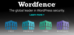 Screenshot 2023-11-07 at 17-16-52 WordPress Security Plugin Wordfence.png