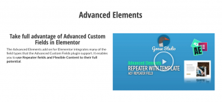 Screenshot 2023-11-08 at 15-06-39 Advanced Elements - Goose Studio.png