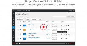 Screenshot 2023-11-15 at 12-30-43 Simple Custom CSS and JS PRO - Silkypress.com.png