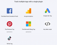 Screenshot 2023-11-15 at 15-45-05 PixelYourSite Professional - The Best WordPress Tracking Plu...png