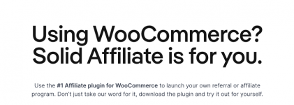 Screenshot 2023-11-17 at 11-43-56 Solid Affiliate - Affiliate plugin for WordPress.png Screenshot 2023-11-17 at 11-43-56 Solid Affiliate - Affiliate plugin for WordPress.png