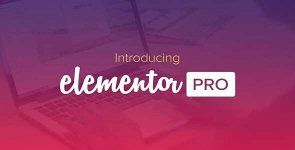 Elementor Pro v3.13.1.jpg Elementor Pro v3.13.1.jpg