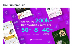 Screenshot 2023-12-05 at 18-05-47 Divi Supreme Pro Divi Extensions.png Screenshot 2023-12-05 at 18-05-47 Divi Supreme Pro Divi Extensions.png