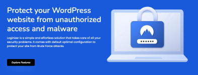 Screenshot 2023-12-17 at 17-31-23 Loginizer – WordPress Security.png