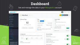 Nitropack.io-Dashboard.png