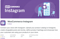Screenshot 2023-12-22 at 10-30-49 WooCommerce Instagram - WooCommerce Marketplace.png