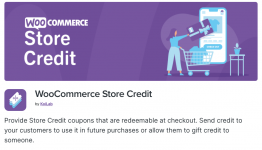 Screenshot 2023-12-22 at 10-44-06 WooCommerce Store Credit - WooCommerce Marketplace.png
