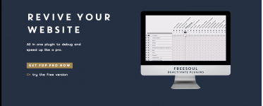 Screenshot 2024-01-03 at 12-48-56 Freesoul Deactivate Plugins The WordPress plugin that disabl...png Screenshot 2024-01-03 at 12-48-56 Freesoul Deactivate Plugins The WordPress plugin that disabl...png