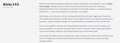 Screenshot 2024-01-12 at 17-26-30 Bricks 1.9.5.png