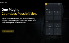 Screenshot 2024-01-14 at 18-13-20 Bricksforge – One Plugin Countless Possibilities. - Bricksfo...png