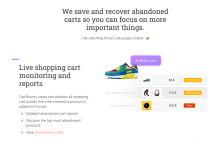 Screenshot 2024-01-14 at 18-25-34 CartBounty Pro – Save and recover abandoned carts for WooCom...png Screenshot 2024-01-14 at 18-25-34 CartBounty Pro – Save and recover abandoned carts for WooCom...png