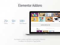 Screenshot 2024-01-17 at 17-38-45 Addons for Elementor Pro – Livemesh Themes.png Screenshot 2024-01-17 at 17-38-45 Addons for Elementor Pro – Livemesh Themes.png
