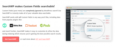 Screenshot 2024-01-18 at 19-55-05 SearchWP - World's Best WordPress Search Plugin.png
