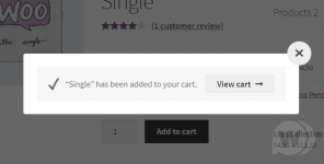 1631090084_pop-up-notices-for-woocommerce-pro.png