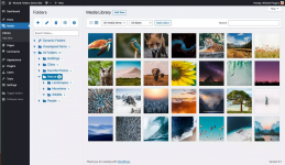 Screenshot 2024-01-25 at 18-02-50 WordPress Media Library Folders Plugin - Wicked Folders.png Screenshot 2024-01-25 at 18-02-50 WordPress Media Library Folders Plugin - Wicked Folders.png