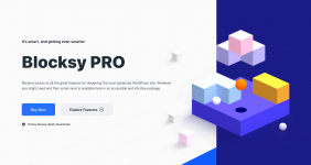 Screenshot 2024-01-26 at 14-18-56 Premium Package Features - Blocksy.png