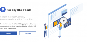 Screenshot 2024-01-30 at 10-20-46 FEEDZY RSS Feeds #1 WordPress RSS Feed Plugin @ ThemeIsle.png