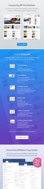 Screenshot 2024-01-31 at 09-15-16 WP Post Modules for NewsPaper and Magazine Layouts.png
