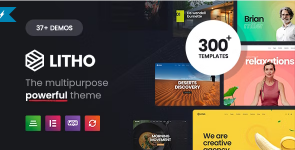 Screenshot 2024-01-31 at 16-59-07 Litho - Multipurpose Elementor WordPress Theme.png