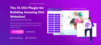 Screenshot 2024-02-02 at 13-31-22 Create beautiful websites with Divi Supreme.png