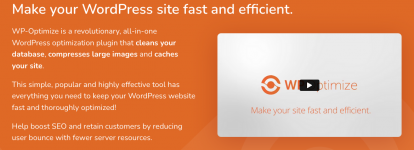 Screenshot 2024-02-02 at 13-48-41 WP-Optimize WordPress Performance Plugin - WP-Optimize.png