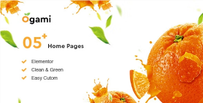 Screenshot 2024-02-03 at 17-20-05 Ogami - Organic Store WordPress Theme.png