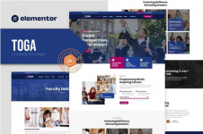 Screenshot 2024-02-04 at 12-53-57 Toga - University & College Elementor Pro Template Kit.png