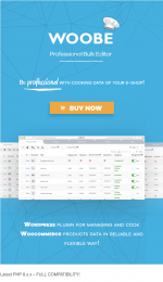 Screenshot 2024-02-05 at 19-41-05 BEAR - WooCommerce Bulk Edit and Products Manager Profession...png