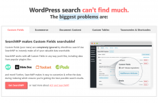 Screenshot 2024-02-08 at 13-53-11 SearchWP - World's Best WordPress Search Plugin.png