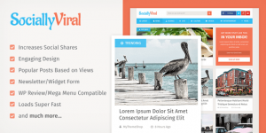 SociallyViral-590x295.png SociallyViral-590x295.png