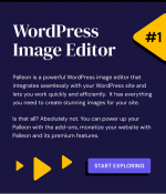 Screenshot 2024-02-12 at 16-47-50 Palleon - WordPress Image Editor.png Screenshot 2024-02-12 at 16-47-50 Palleon - WordPress Image Editor.png