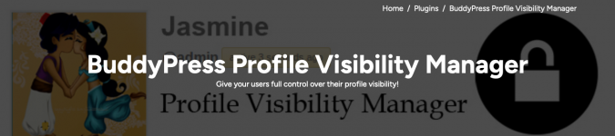 Screenshot 2024-02-21 at 16-20-53 BuddyPress Profile Visibility Manager BuddyDev.png Screenshot 2024-02-21 at 16-20-53 BuddyPress Profile Visibility Manager BuddyDev.png