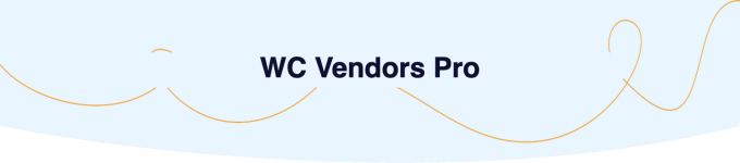 Screenshot 2024-02-23 at 12-33-35 WC Vendors Pro – Grow Your WooCommerce Marketplace Faster.png