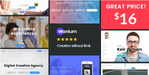 Screenshot 2024-02-23 at 13-01-45 Wanium - A Elegant Multi-Concept Theme.png