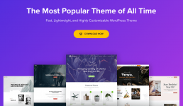 Screenshot 2024-02-24 at 14-32-34 Astra – Fast Lightweight & Customizable WordPress Theme - Do...png Screenshot 2024-02-24 at 14-32-34 Astra – Fast Lightweight & Customizable WordPress Theme - Do...png