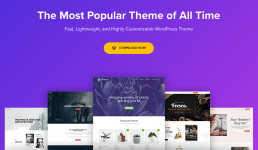 Screenshot 2024-02-24 at 14-32-34 Astra – Fast Lightweight & Customizable WordPress Theme - Do...png