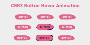 Screenshot 2024-02-28 at 13-33-27 CSS3 Button Hover Animation.png