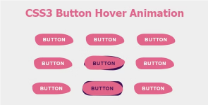 Screenshot 2024-02-28 at 13-33-27 CSS3 Button Hover Animation.png Screenshot 2024-02-28 at 13-33-27 CSS3 Button Hover Animation.png