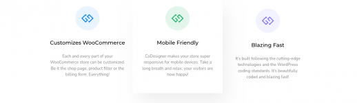 Screenshot 2024-03-02 at 15-17-49 Elementor WooCommerce Builder – CoDesigner (Woolementor).png Screenshot 2024-03-02 at 15-17-49 Elementor WooCommerce Builder – CoDesigner (Woolementor).png