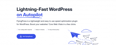 Screenshot 2024-03-03 at 16-01-35 FlyingPress – Lightning-Fast WordPress on Autopilot.png