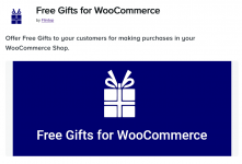 Screenshot 2024-03-06 at 17-34-29 Free Gifts for WooCommerce – Automatic Free Gifts Buy X Get ...png