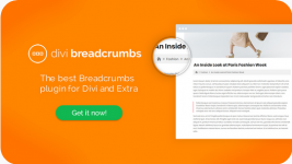 Screenshot 2024-03-14 at 14-17-08 Easily add breadcrumbs to Divi or Extra to help site using t...png Screenshot 2024-03-14 at 14-17-08 Easily add breadcrumbs to Divi or Extra to help site using t...png