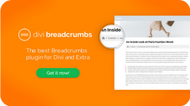 Screenshot 2024-03-14 at 14-17-08 Easily add breadcrumbs to Divi or Extra to help site using t...png