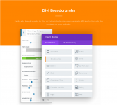 Screenshot 2024-03-14 at 14-18-05 Easily add breadcrumbs to Divi or Extra to help site using t...png