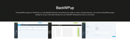 Screenshot 2024-03-17 at 16-25-28 BackWPup Plugin for MainWP WordPress Management.png Screenshot 2024-03-17 at 16-25-28 BackWPup Plugin for MainWP WordPress Management.png
