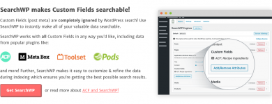Screenshot 2024-03-21 at 17-10-31 SearchWP - World's Best WordPress Search Plugin.png Screenshot 2024-03-21 at 17-10-31 SearchWP - World's Best WordPress Search Plugin.png