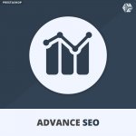 seo-optimizer-module-advance-seo-expert.jpg